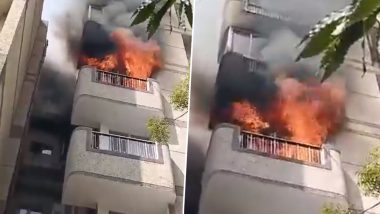 Delhi Fire: द्वारका परिसरात एका इमारतीला भीषण आग, दोन महिलांनी जीव वाचवण्यासाठी इमारतीवरून घेतली उडी, एकीचा रुग्णालयात मृत्यू.
